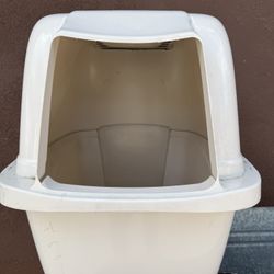 Cat Litter 