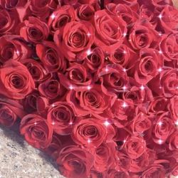Rose Bouquets 
