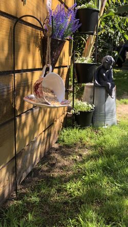 Rose Teacup Bird Feeder