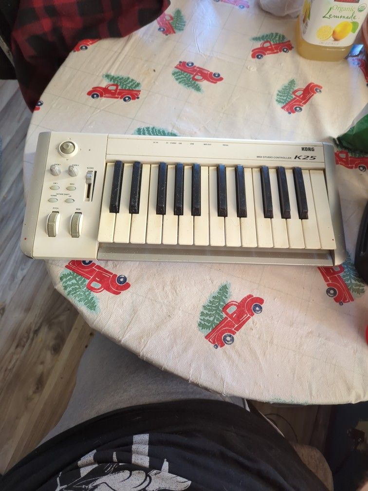 Korg K 25