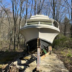 1979 Stamas 26ft Project Boat