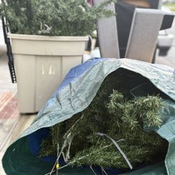 Free Items Christmas Tree,table, Skates, Stools 