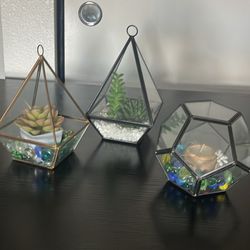 Terrariums Decor
