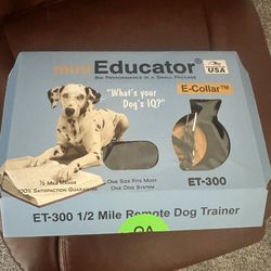 E collar and shock collar