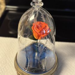 Disneys Beauty N The Beast Rose 