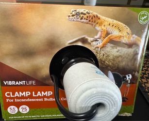 Reptile Clamp Lamp/5.5”