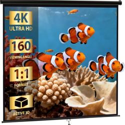 120'' Projector Screen