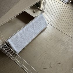 Bunny Cage
