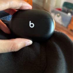Beats Earphones 