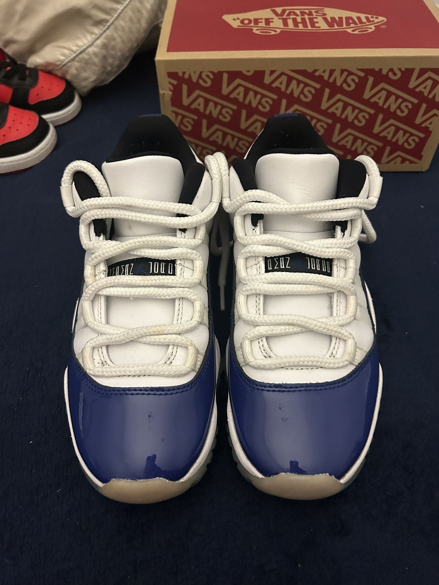 Concord Jordan 11s Low