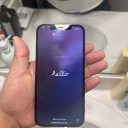 iPhone 12 Pro Max Green / Navy Blue 