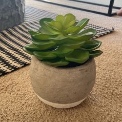 Faux Plant