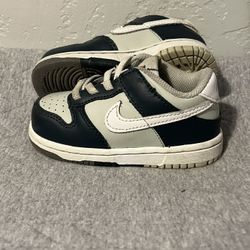 Toddler Nike Dunks 