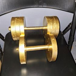 Dumbell 40 pounds  and 15 pounds