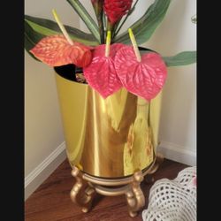 Beautiful Arrangement 