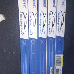 Gas Spring Struts