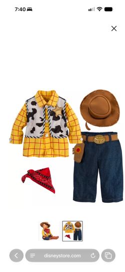 Toy Story costume