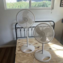  Standing Fans (2)