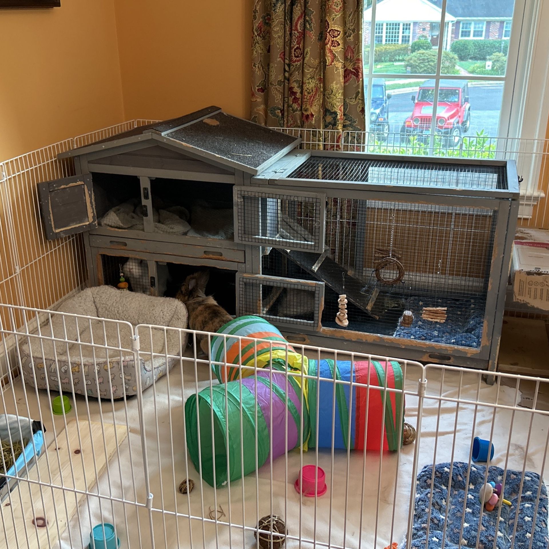 Bonded Lion Head Pair