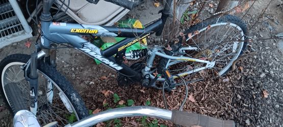 Exciter Bike