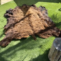 Buffalo Hide 