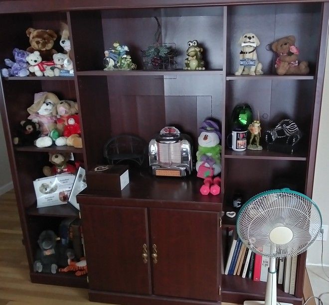 Cabinet Shelve