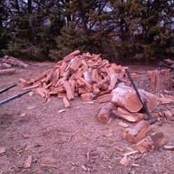 Fire Wood For Sale 