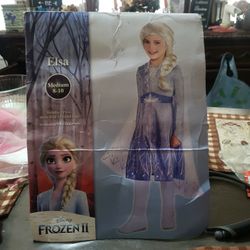 Frozen  2 Elsa Costume  Brand New 8 To 10 