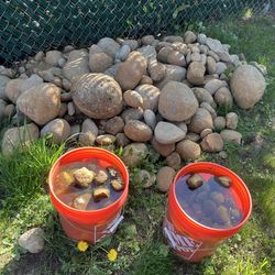 Free river rocks