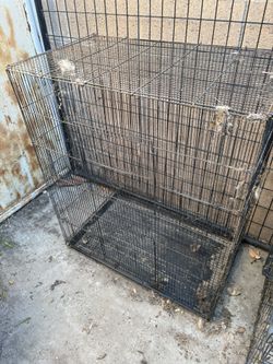 bird cage