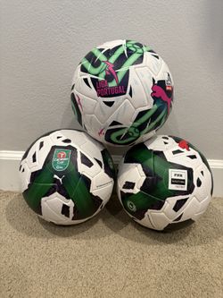 Lot of 3 Puma FIFA Quality Pro Soccer Balls Puma Orbita Liga and Carabao Cup