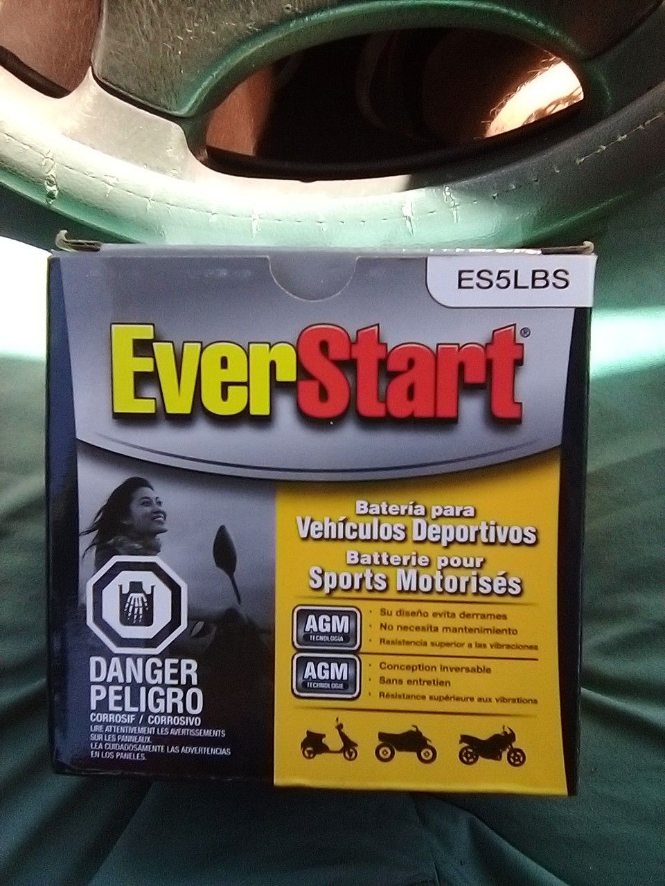 Everstart power sport battery