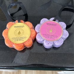 2 Body Sponges