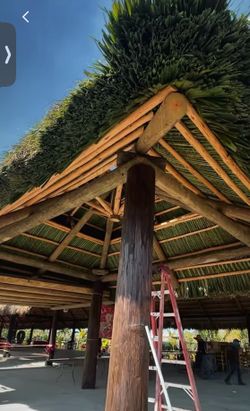 Tiki hut