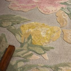 8 by 10 Safavieh Carpet