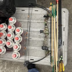 Bow  And Arrows 