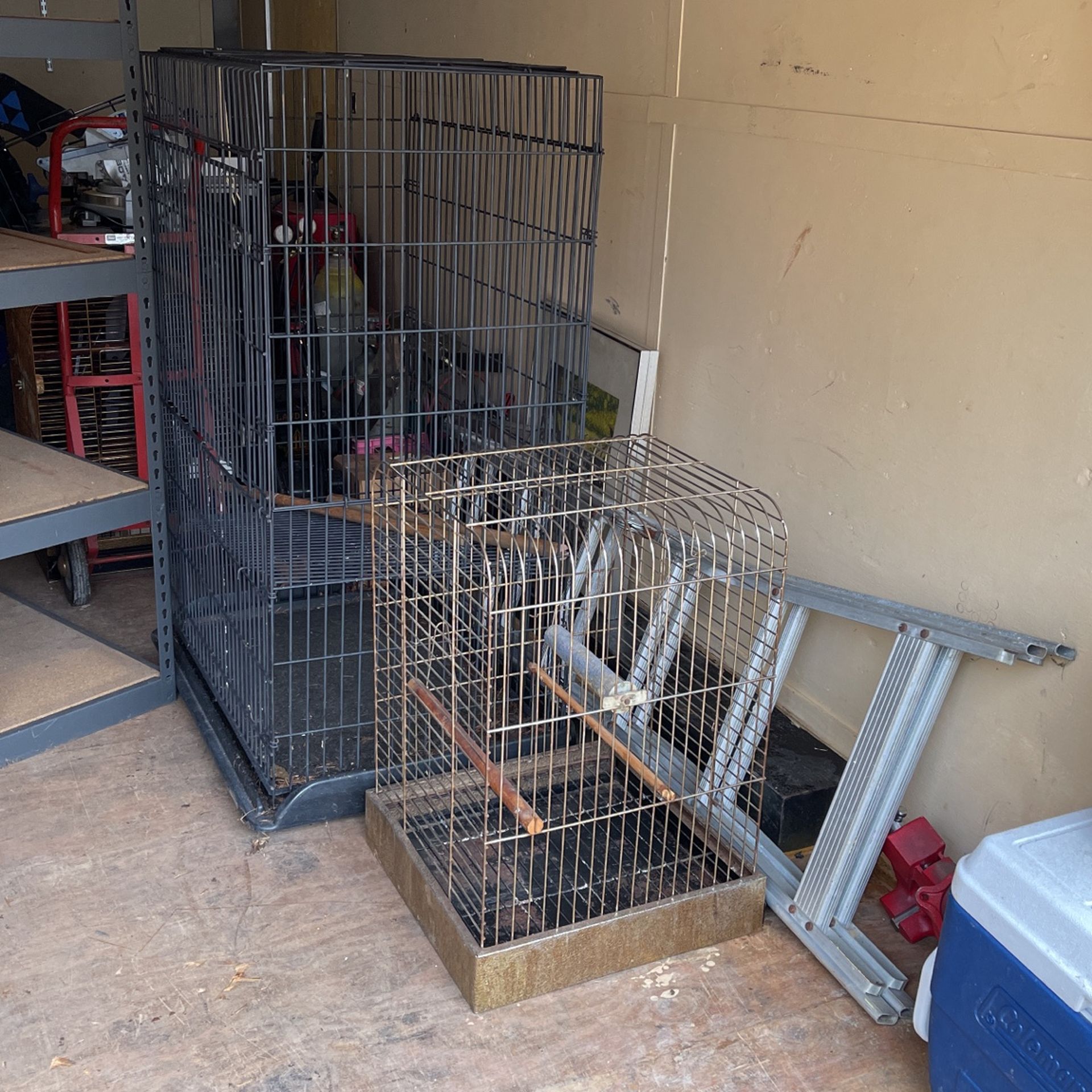 Bird Cages