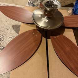 Ceiling Fan