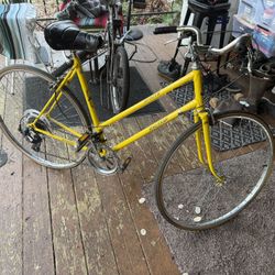 Raleigh Sprite