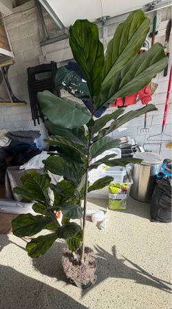 Artificial large and medium plants