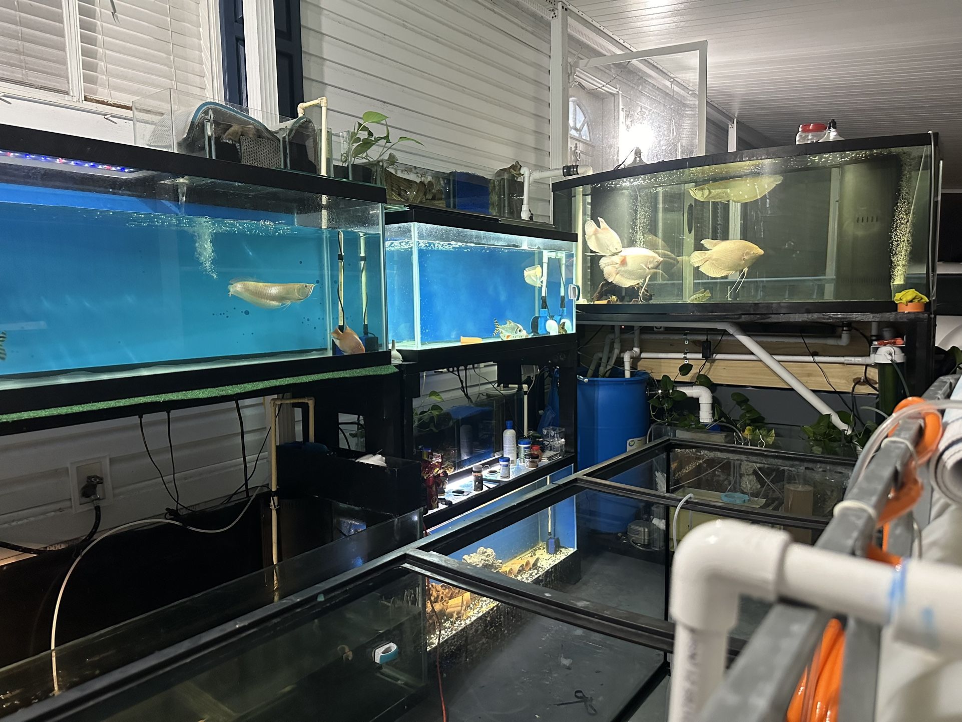 tanks high quality (pm for more info)