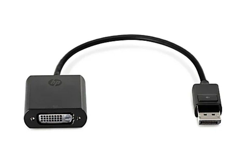 New HP Display Port to DVI Adapter - DisplayPort/DVI Video Cable for Video Device, Notebook, Projector