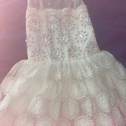 5-6t dress princess