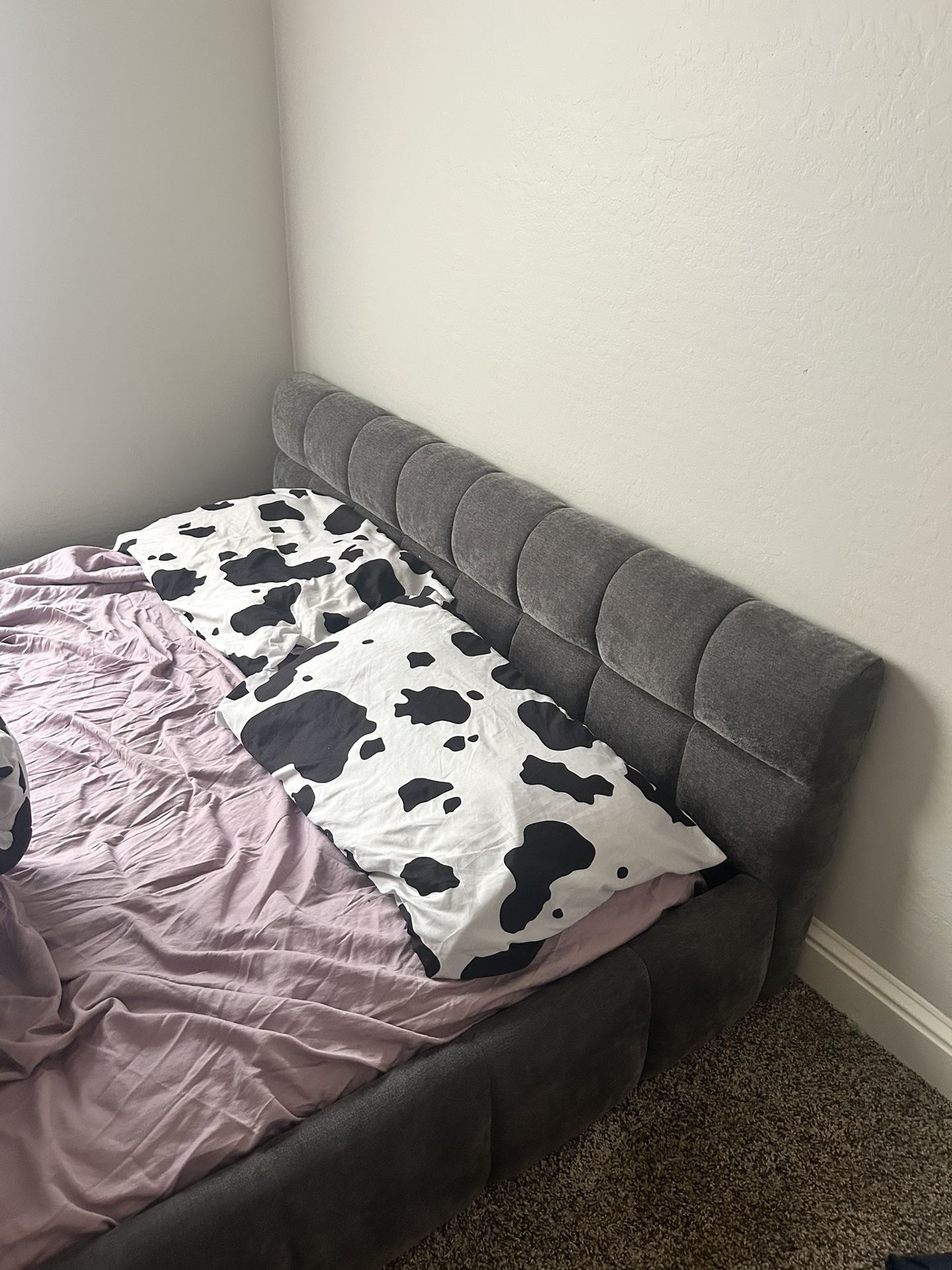 Grounded Bed frame (No Mattress)