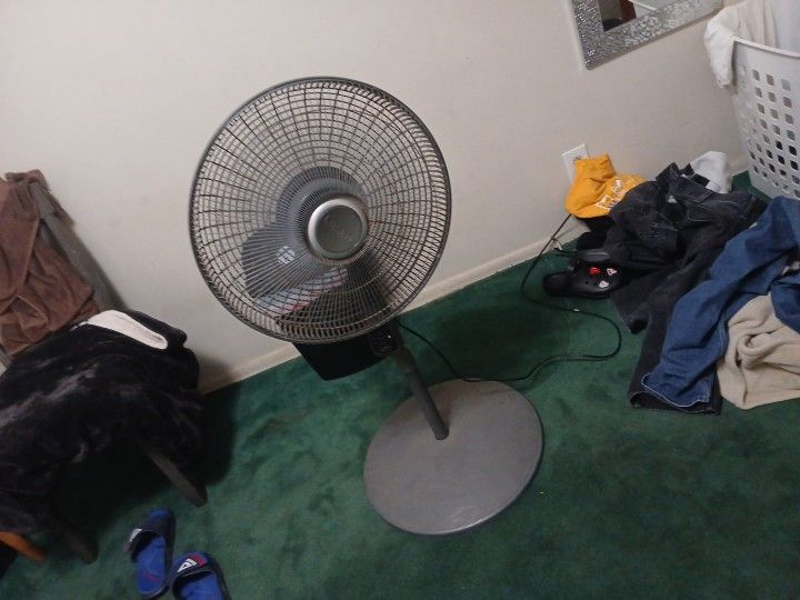 Fan With Timer N Controller