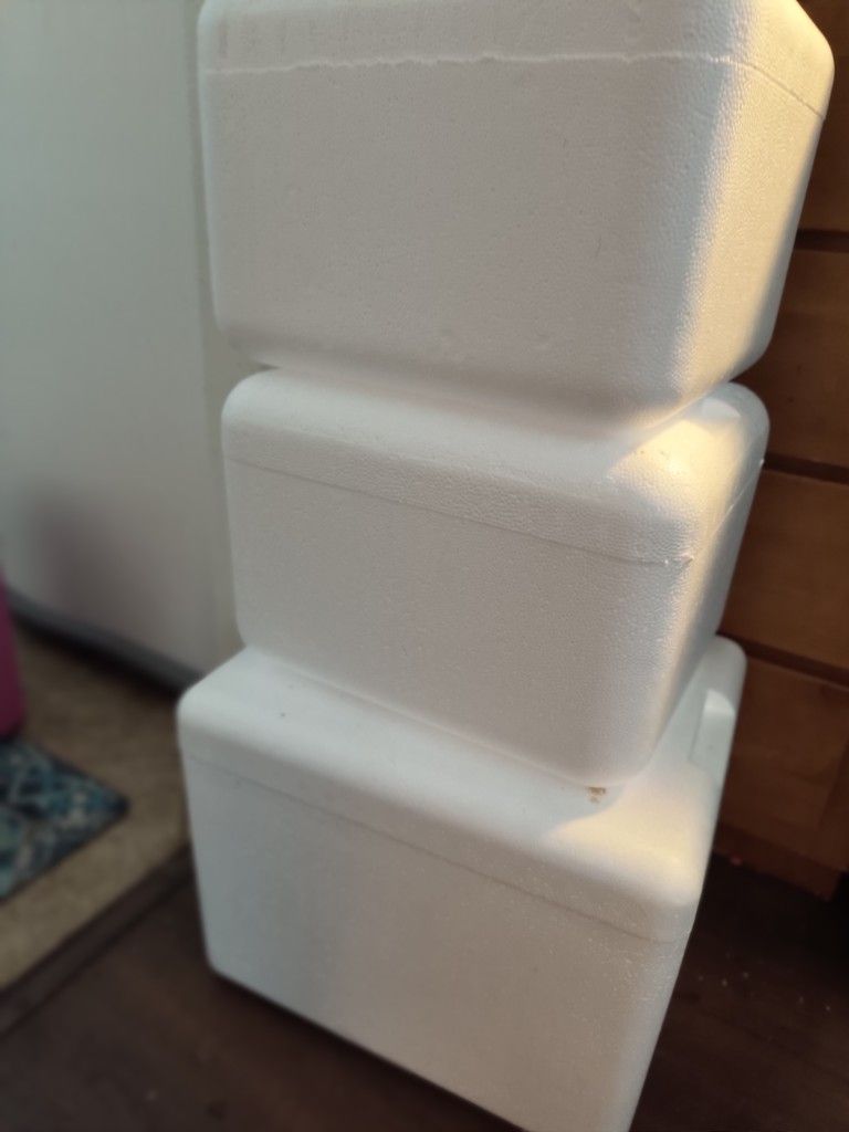 Free Styrofoam Coolers