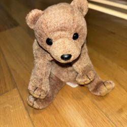 Ty Beanie Baby * Pecan the Bear * Date of Birth: April 15, 1999 * Collectible