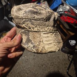 Diamond  Back Ratle  Snake 🐍 