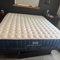 Like New Bear Elite Hybrid Firm King Mattress