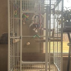 Bird cage / Parrot Cage